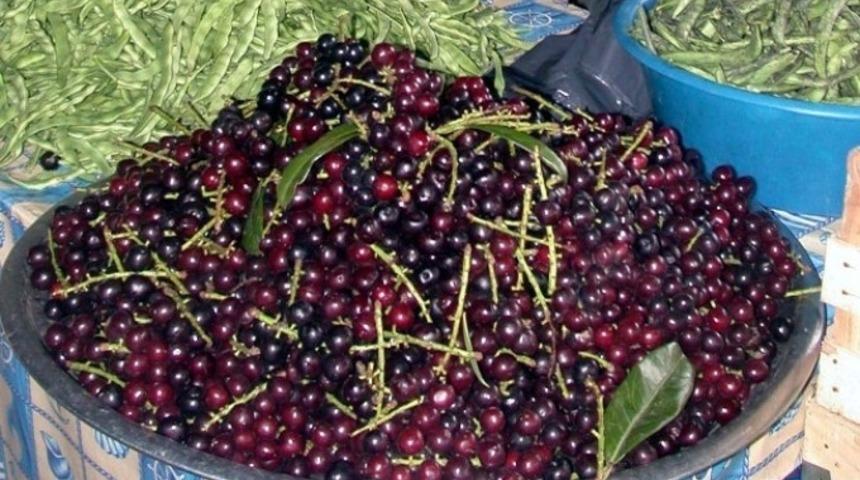 Yaprakları bile altın değerinde: Ana vatanı Karadeniz olan bu yemiş tam bir şifa deposu...