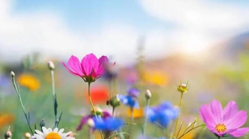 CEMRE TARİHLERİ 2023: İlk cemre düştü mü? 2. cemre ne zaman ve nereye düşecek?