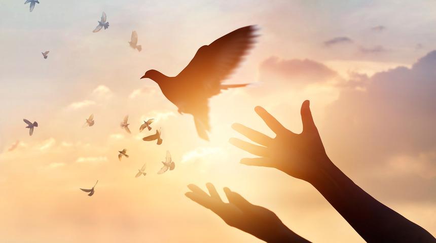 Medeniyetin Kapısıdır Kadın