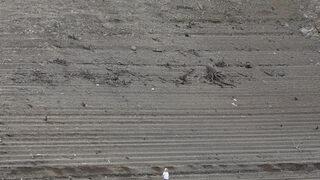 Korkutan gelişme! Bursa'nın 20 günlük suyu kaldı! En büyük barajdan biri şu an bomboş…