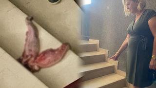 Prof. Dr. Esin Davutoğlu Şenol sosyal medyadan duyurmuştu! 'Dana dili' ile tehditte yeni gelişme