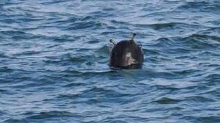 Denizde mayın paniği! Kastamonu açıklarında tespit edildi!