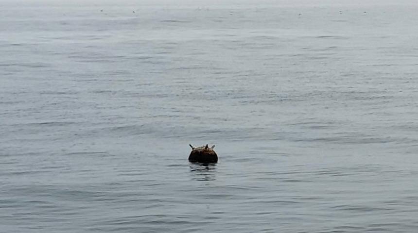 Kastamonu açıklarında tespit edilen mayın imha edildi