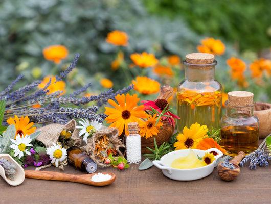 Homeopati ile fitoterapi arasındaki fark nedir?