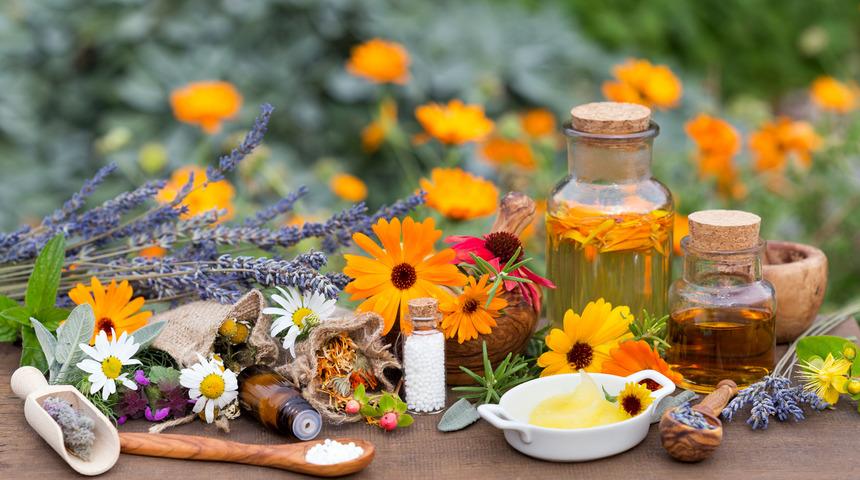 Homeopati ile fitoterapi arasındaki fark nedir? Homeopati ve fitoterapi uygulamaları nasıl yapılır?