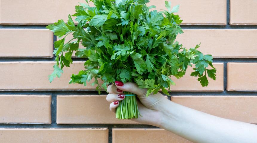 Hamileler maydanoz yiyebilir mi, maydanoz düşüğe sebep olur mu? Hamileler maydanoz suyu içerse ne olur?