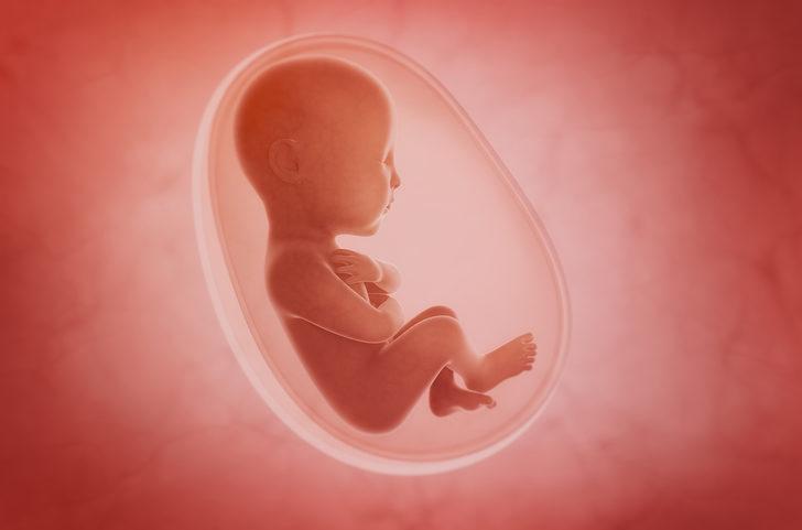 Ablasyo plasenta nedir, bebeğin plasentadan ayrılması belirtileri nedir? Plasenta dekolmanının gebe ve bebek üzerindeki etkileri nedir, bebek kordonu neden kopar?