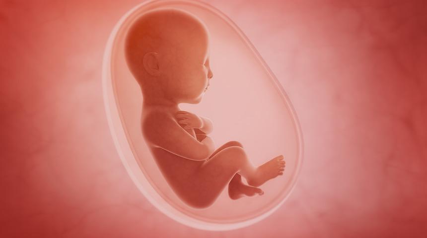 Ablasyo plasenta nedir, bebeğin plasentadan ayrılması belirtileri nedir? Plasenta dekolmanının gebe ve bebek üzerindeki etkileri nedir, bebek kordonu neden kopar?