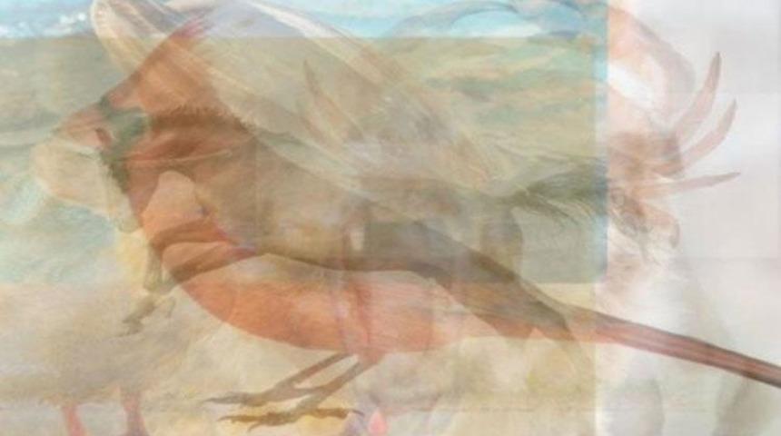 Bu resimde g&ouml;rd&uuml;ğ&uuml;n&uuml;z ilk hayvan bakın ne anlama geliyor?