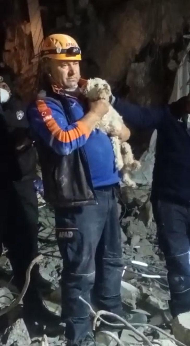 Hatay'da depremin 25. gününde enkazdan bir köpek canlı çıkartıldı
