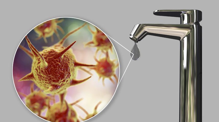 Ülkede panik yarattı! Musluk suyundan bulaşan beyin yiyen amip bir kişinin ölümüne yol açtı