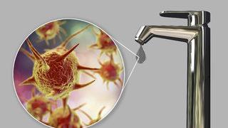 Ülkede panik yarattı! Musluk suyundan bulaşan beyin yiyen amip bir kişinin ölümüne yol açtı