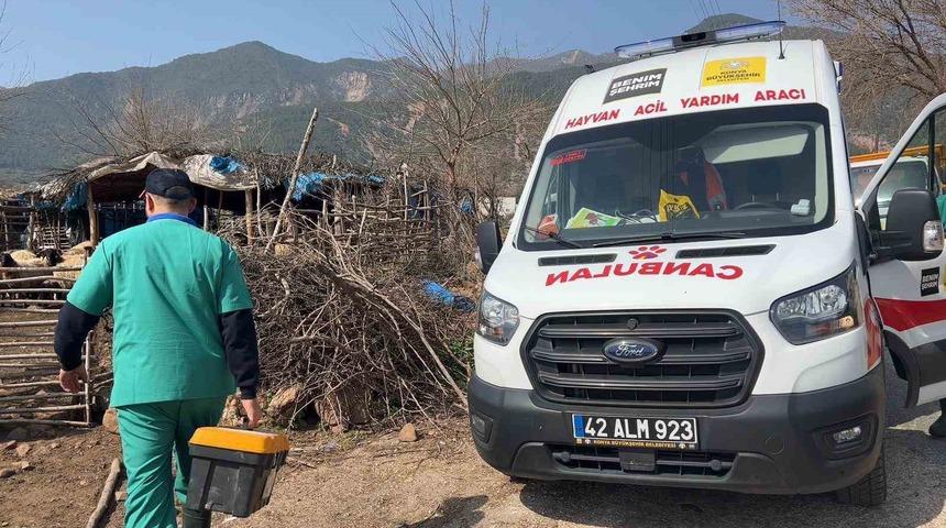 Konya B&uuml;y&uuml;kşehir Hatay&rsquo;daki &uuml;reticilerin hayvanlarına muayene hizmeti veriyor