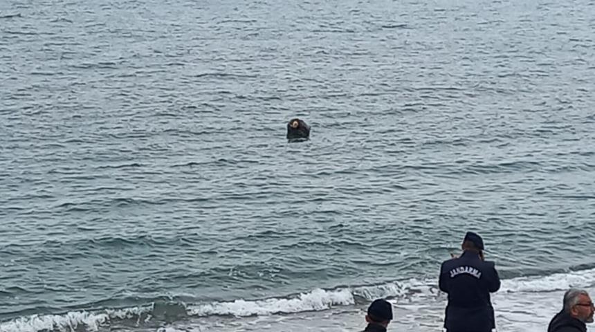 Denizde gördüler, mayın sandılar! Gerçek, karaya çıkarılınca anlaşıldı