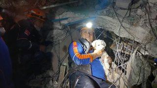 Hatay’da 25 gün sonra bir köpek enkaz altından sağ kurtarıldı! Kabındaki mama sayesinde hayatta kalmış