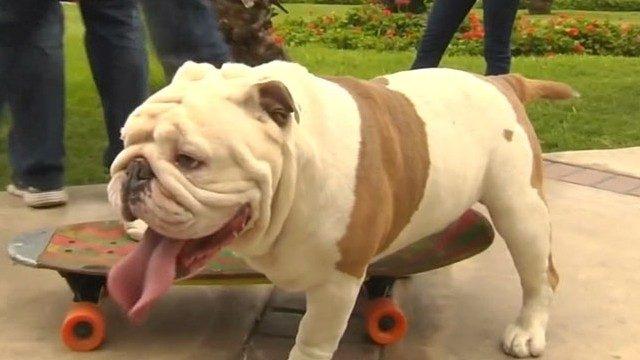 Guinness Rekorlar Kitabı’na girdi