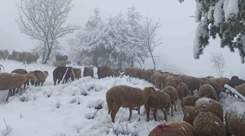 Sakarya’da yüksek kesimlerde kar yağışı etkili oluyor