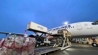 THY'nin Tek Yürek adı verilen 400. uçağı ilk tarifeli seferinde deprem bölgesine yardım taşıdı