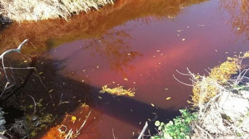 Acarlar Longozu’nu besleyen dere kızıla büründü