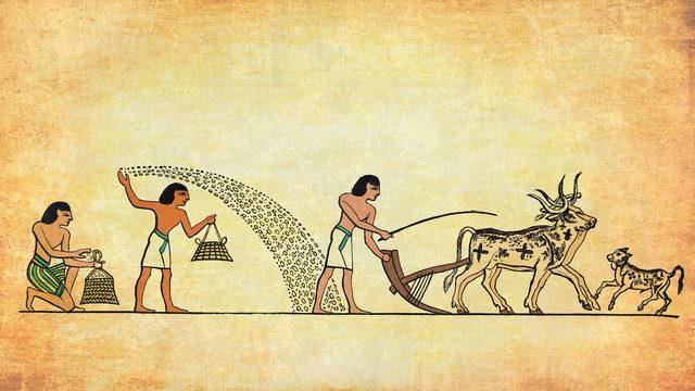 Mısır'da kurulan ilk Türk devleti hangisidir? Mısır'da kurulan ilk Türk İslam devleti nedir, özellikleri nelerdir?