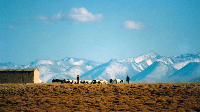 Tarihteki ilk Türk devletleri nelerdir? İlk Türk devletleri ve uygarlıkların özellikleri nelerdir?