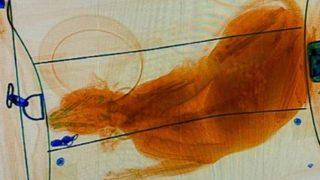 Havalimanında skandal! Kedisini bavulun içine koyup X-Ray cihazından geçirdi... Ortaya çıkan görüntü şoke etti