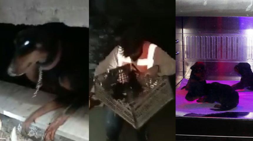 29 g&uuml;n sonra gelen mucizenin adı: Şila... Enkaz altında doğum yaptı