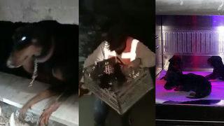 29 gün sonra gelen mucizenin adı: Şila... Enkaz altında doğum yaptı