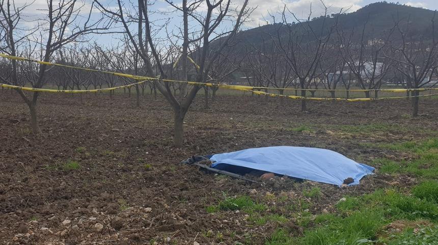 Manisa'da korkunç olay: Tarlada erkek cesedi bulundu!