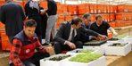 Bingöl’de yüzde 75 hibe ile 750 bin adet fide dağıtılacak