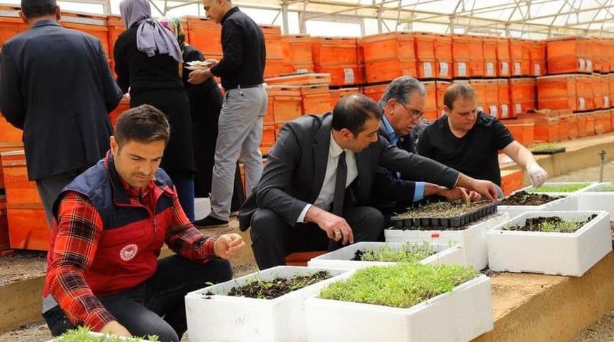 Bingöl’de yüzde 75 hibe ile 750 bin adet fide dağıtılacak