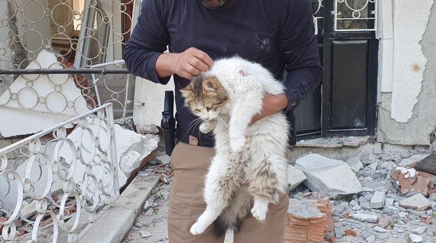 HAYDİ ekipleri, Hatay'da mahsur kalan hayvanları sahiplerine ulaştırıyor