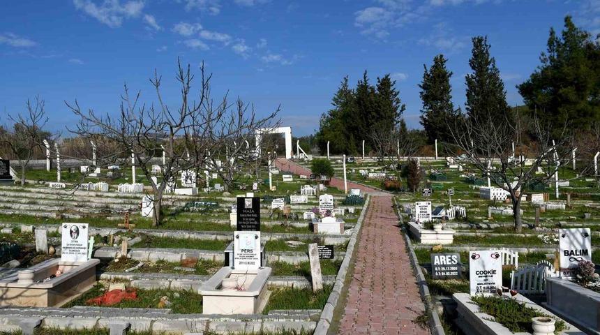 Kahraman k&ouml;pek Proteo&rsquo;nun ismi Kuşadası&rsquo;nda yaşayacak