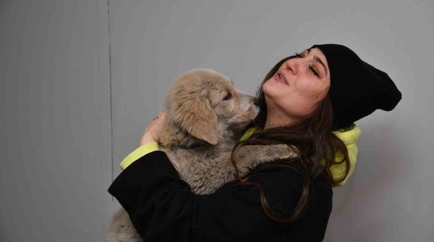 Kahramanmaraş’ta enkaz altından kurtarılan köpek Trabzon’da sahiplendirildi