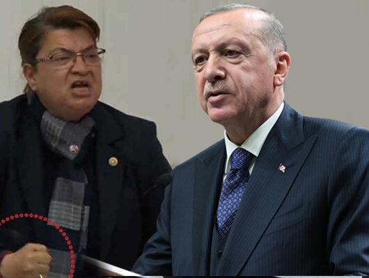 Erdoğan'dan CHP'li vekile sert tepki