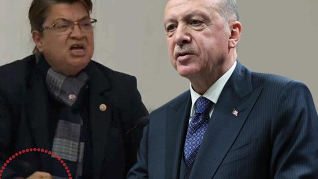 SON DAKİKA | Meclis kürsüsüne vura vura konuşmuştu! Cumhurbaşkanı Erdoğan'dan CHP Hatay Milletvekili Suzan Şahin'e sert tepki