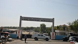 Türkiye'de SAT-2 serotipi şap hastalığı paniği! Açıklamalar peş peşe geldi: Kapatıldılar