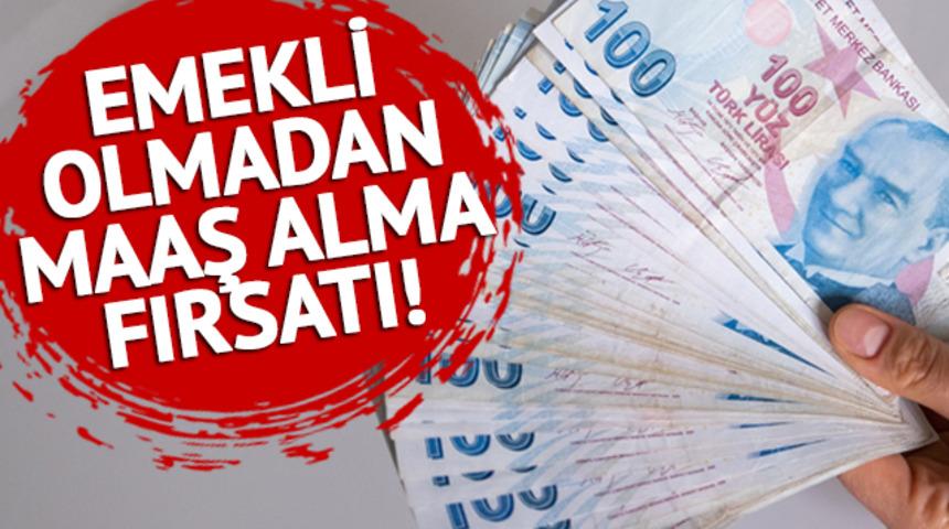 Emekli olmadan maaş almak mümkün: Aylık 2 bin 604 TL hesaplara yatıyor! İşte şartlar...