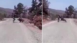 Yaban domuzunu görüntülemek isterken neye uğradığını şaşırdı! 'Böyle vahşi olabileceğini düşünemedim'