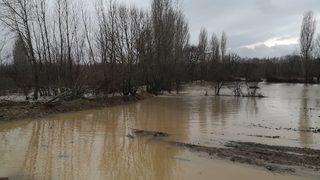Kütahya'da kuvvetli sağanak nedeniyle ekili tarım arazileri sular altında kaldı
