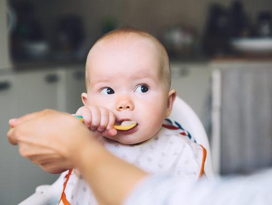 6 aylık bebek beslenme tablosu