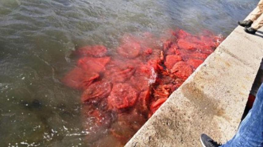 8 ton ele geçirildi! Denizin içinde saklamışlar