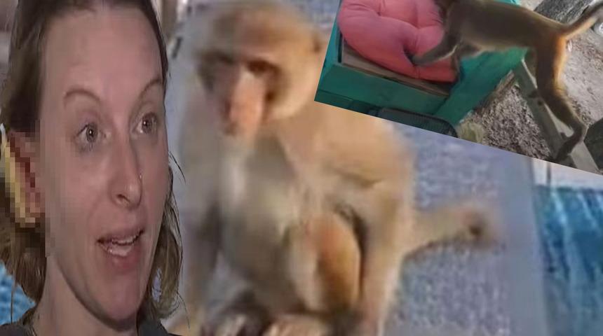 Ne olduğunu anlayamadı! Kapısının önündeki maymunun saldırısına uğrayan kadının kulağı koptu