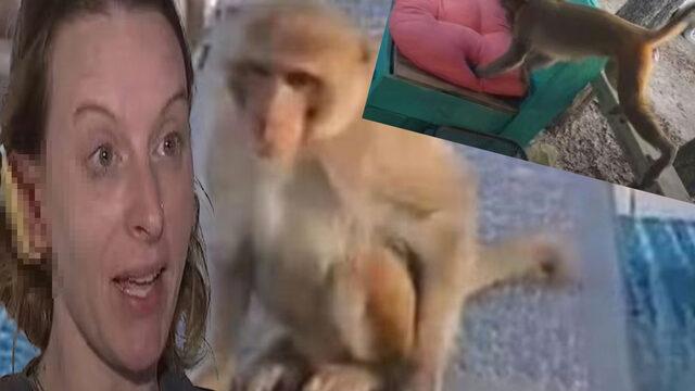 Ne olduğunu anlayamadı! Kapısının önündeki maymunun saldırısına uğrayan kadının kulağı koptu