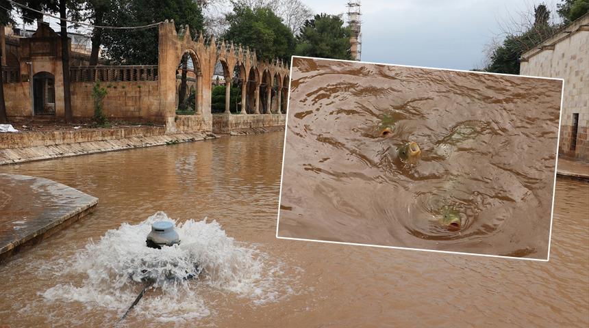 'Depremde de aynısı olmuştu' diyerek açıkladı! Balıklıgöl'deki balıkların durumu merak ediliyordu... Oraya saklanıyorlarmış