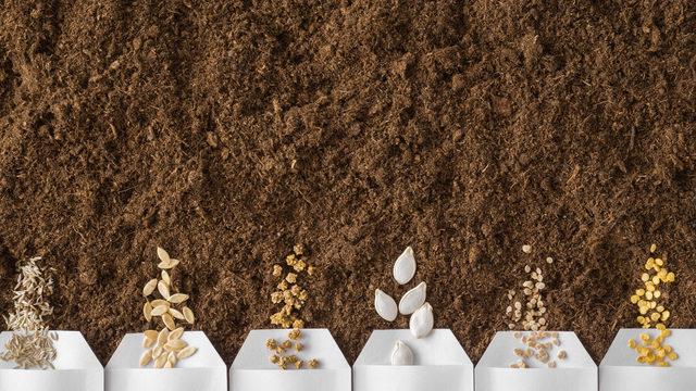 Tohum ıslahı nedir, yöntemleri nelerdir? Tohum ıslahı nasıl yapılır, neden yapılır?