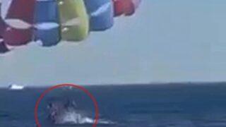 Dehşete düşüren görüntüler! Köpek balığı bir anda denizden fırlayıp paraşüt yapan adamın bacaklarını ısırdı