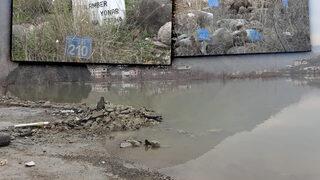 Büyük göç bitiyor, onlar sahipsiz kaldı! Artvin'de 'Mezarlar suya gömülecek' endişesi: Bunlar garip; istimlak parasında var ama...