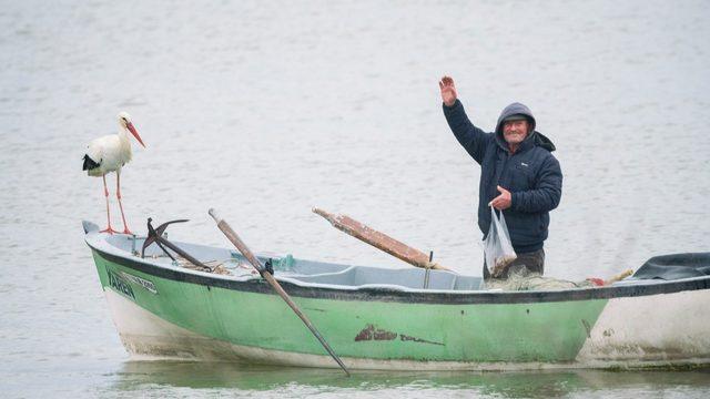 Dostlukları yurt dışında ders kitaplarına konu oldu! Endişeli bekleyiş sona erdi, 'Yaren Leylek ve Adem Amca' 12. kez buluştu
