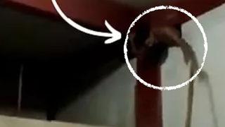 Hırsızlık yapmak için marketin içine delik açtı! Açtığı deliğe sıkışan hırsız dükkan sahibinden meydan dayağı yedi